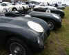 Jaguar C type & XK